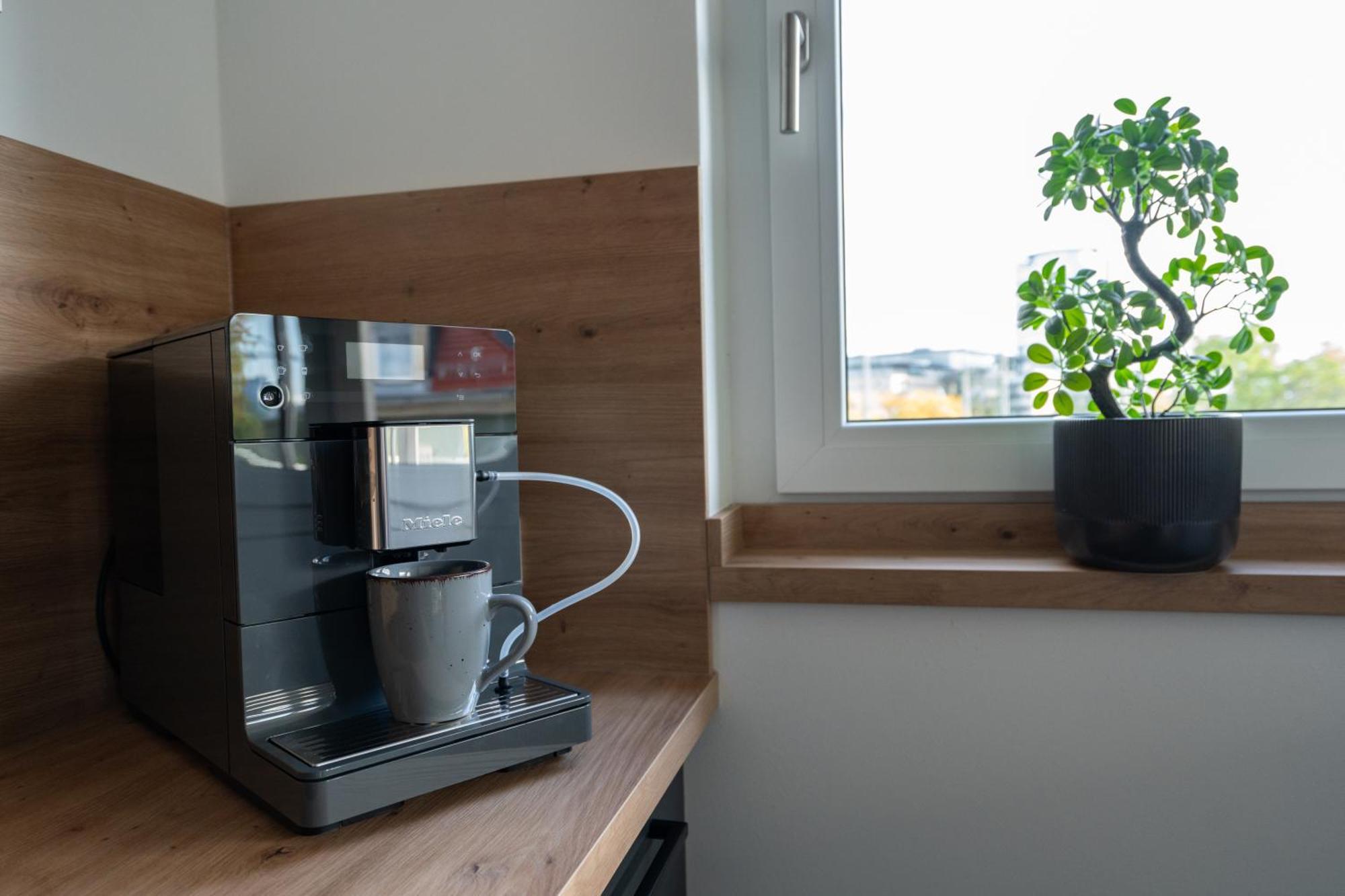 Cozy City Dream Apartment Mit Terrasse Und Parkplatz - 90M² 드레스덴 외부 사진